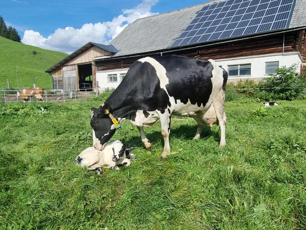 プルークガーンKulmerhof - Farmアパートメント エクステリア 写真