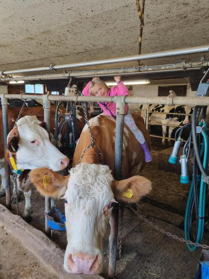 プルークガーンKulmerhof - Farmアパートメント エクステリア 写真