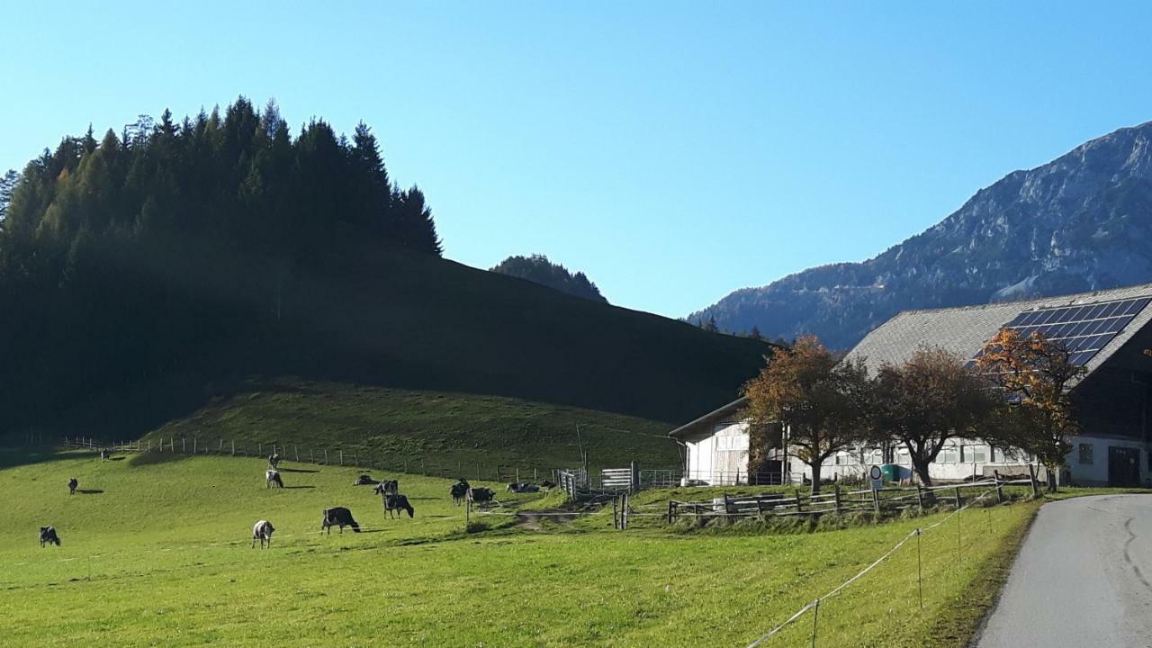 プルークガーンKulmerhof - Farmアパートメント エクステリア 写真